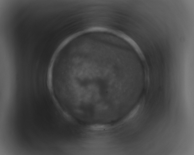 X0000100921199200807081144