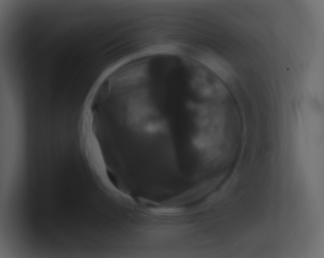 X0000100921200200807081144