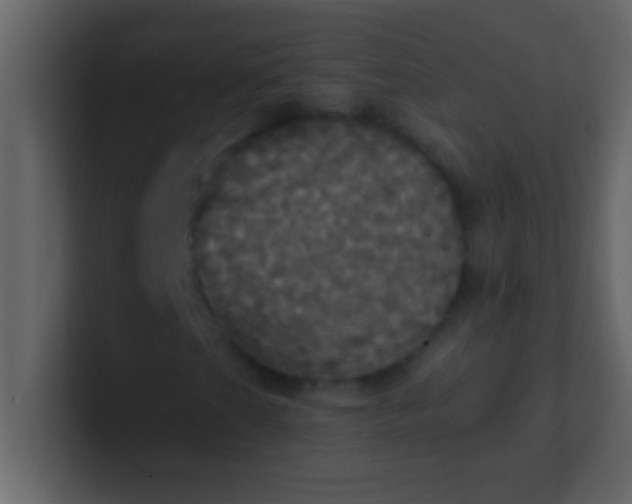 X0000100921201200807081143