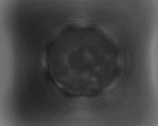 X0000100921202200807081143