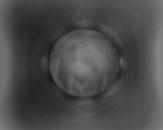 X0000100921203200807081143