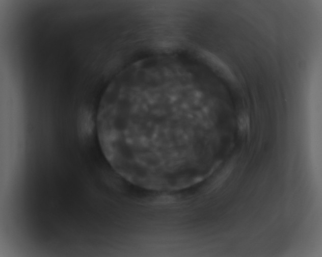 X0000100921204200807081143