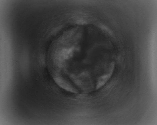 X0000100921205200807081143