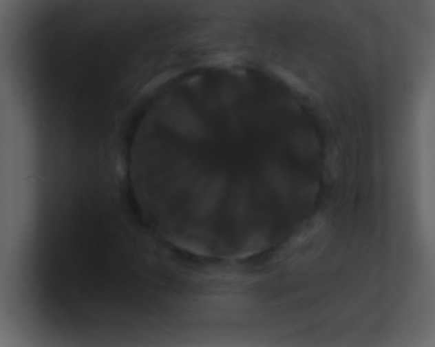 X0000100921206200807081143