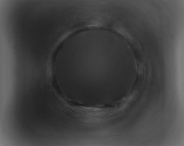 X0000100921208200807081143