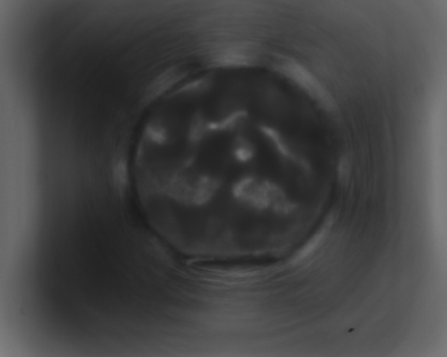 X0000100921209200807081143