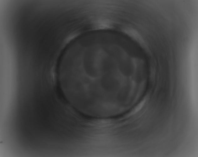 X0000100921210200807081143