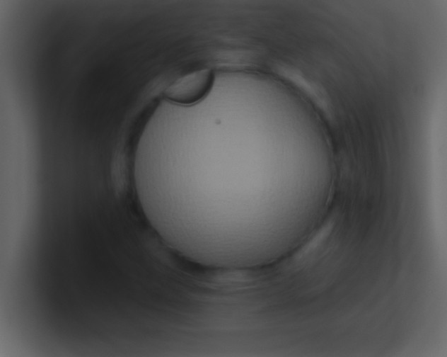 X0000100921211200807081143