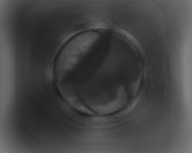 X0000100921212200807081143