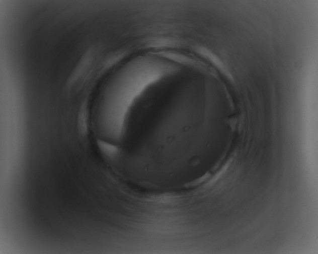 X0000100921213200807081143