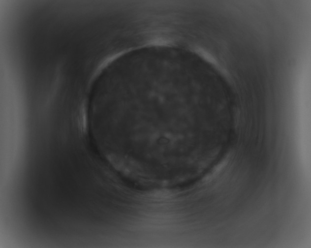 X0000100921214200807081143