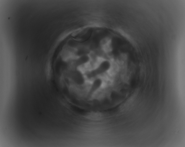 X0000100921215200807081143