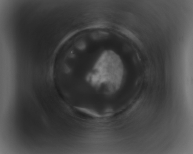 X0000100921216200807081143