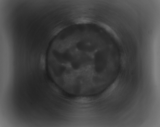 X0000100921217200807081143