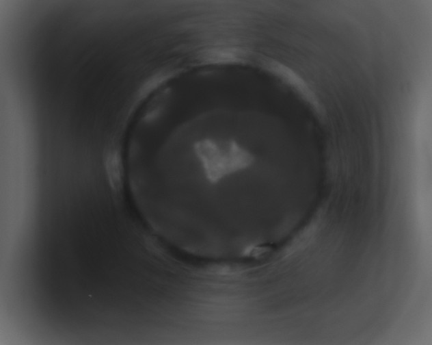 X0000100921218200807081144