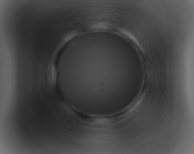 X0000100921219200807081144