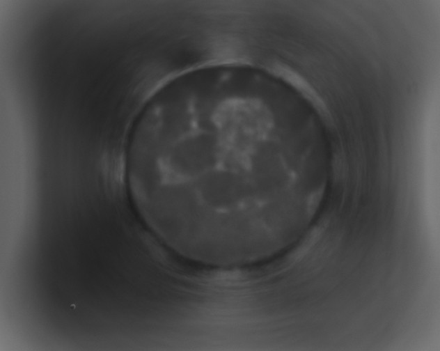 X0000100921220200807081144