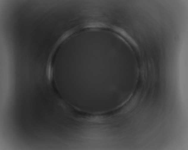 X0000100921221200807081144