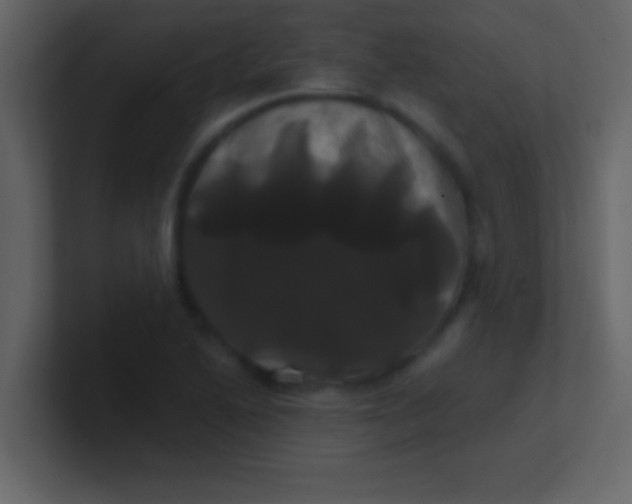 X0000100921222200807081144