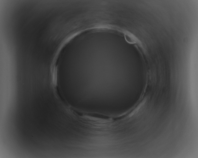 X0000100921223200807081144