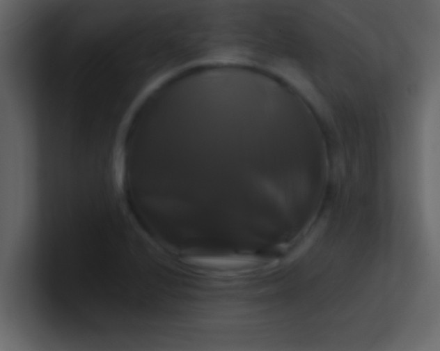 X0000100921224200807081144