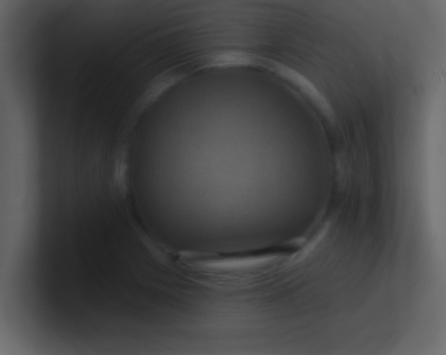 X0000100921225200807081144