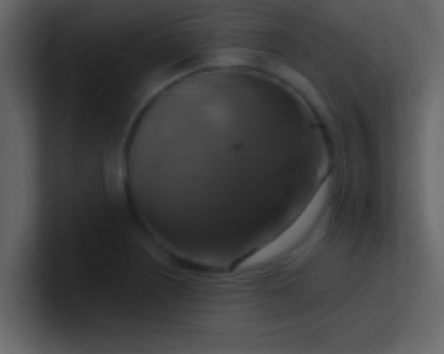 X0000100921226200807081144