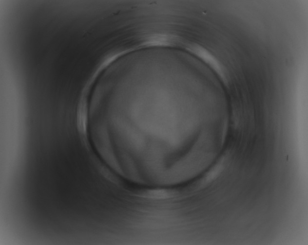 X0000100921227200807081144