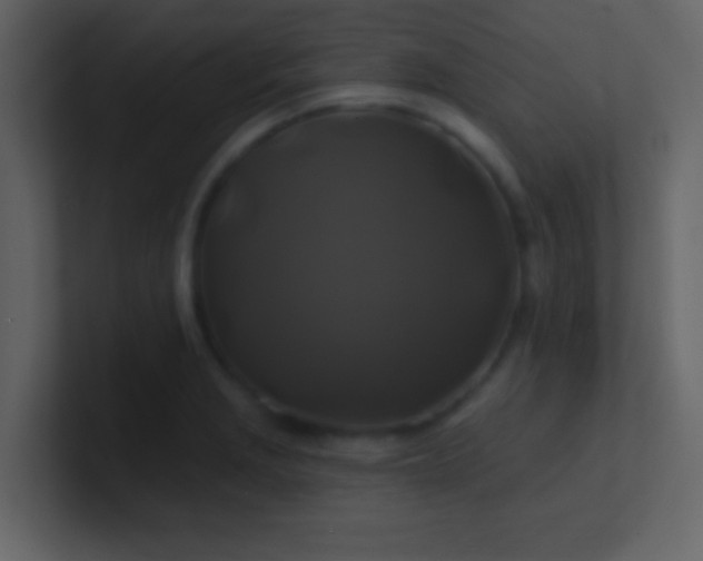 X0000100921229200807081144