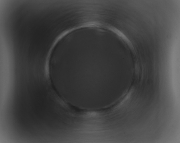 X0000100921230200807081144