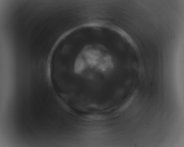 X0000100921232200807081144