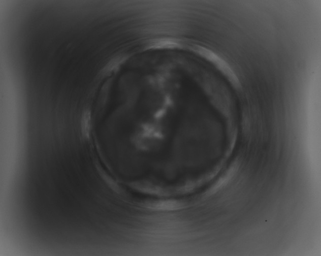 X0000100921233200807081144