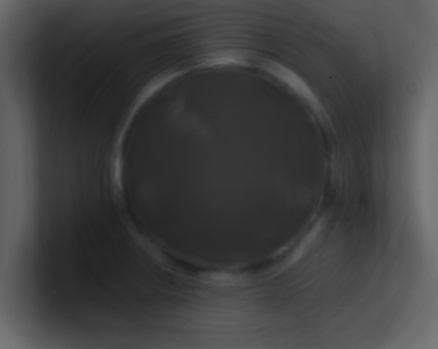 X0000100921234200807081144