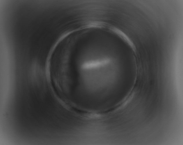 X0000100921235200807081144