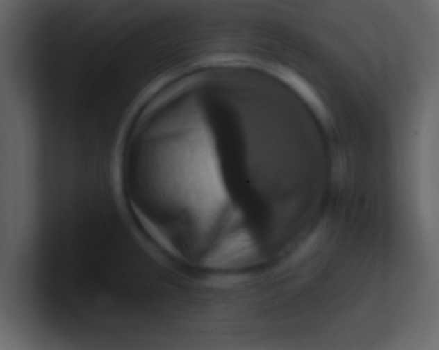 X0000100921237200807081144