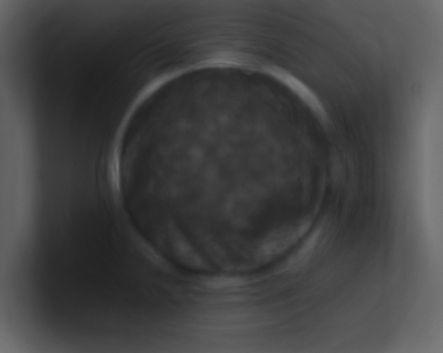 X0000100921238200807081144