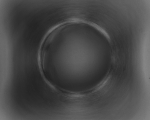 X0000100921239200807081144