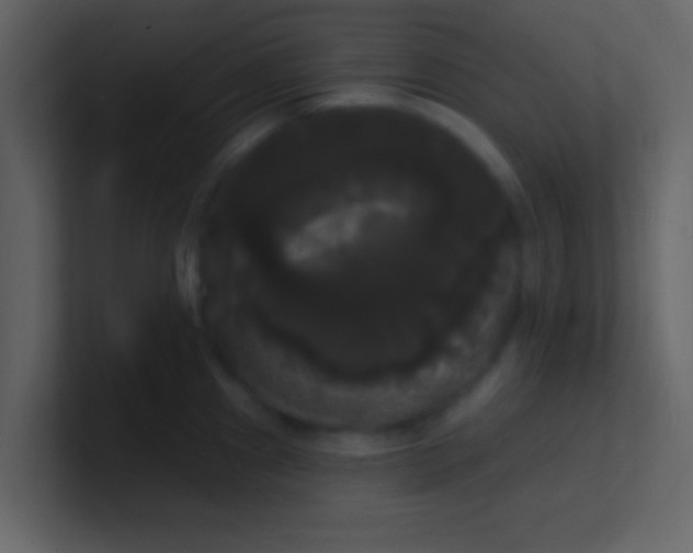 X0000100921241200807081144