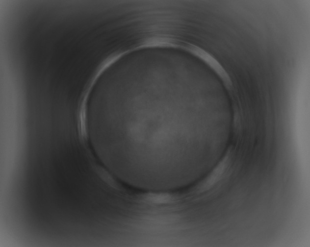 X0000100921242200807081144