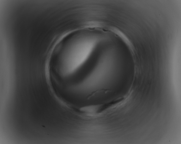 X0000100921243200807081144