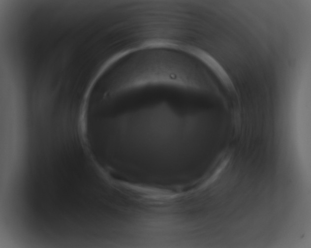 X0000100921244200807081144