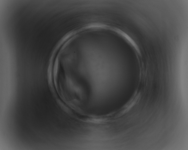 X0000100921245200807081144