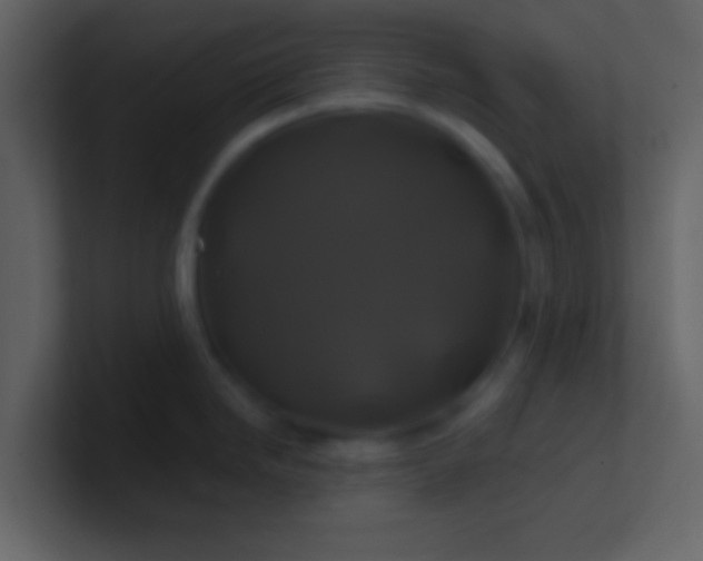 X0000100921246200807081144