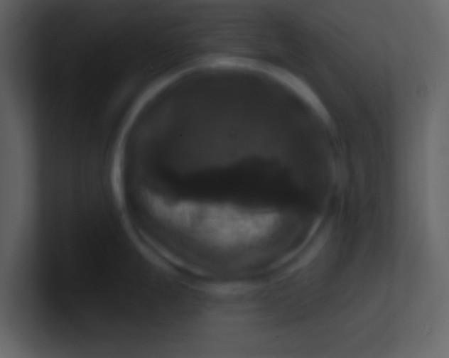 X0000100921247200807081144