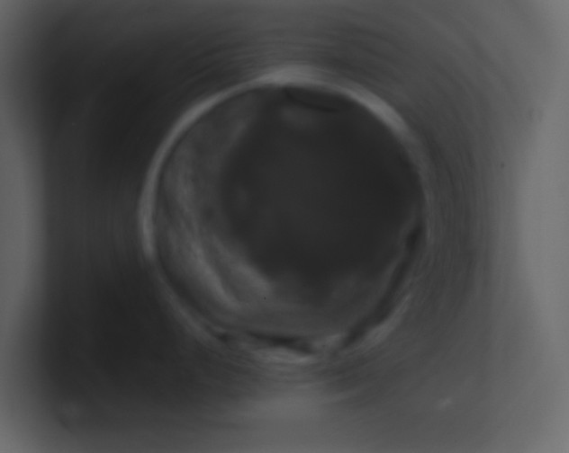 X0000100921248200807081144