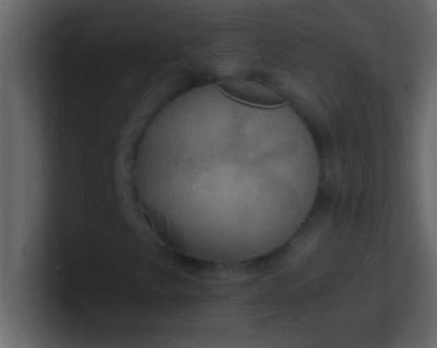 X0000100921249200807081143