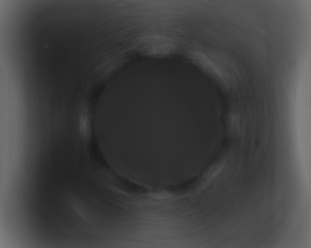 X0000100921250200807081143