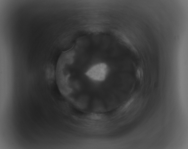 X0000100921251200807081143