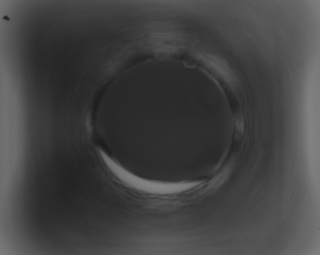 X0000100921252200807081143