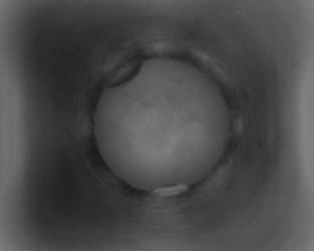 X0000100921253200807081143